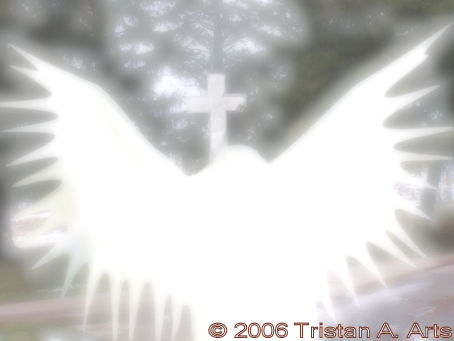 &copy;2006 Tristan A. Arts